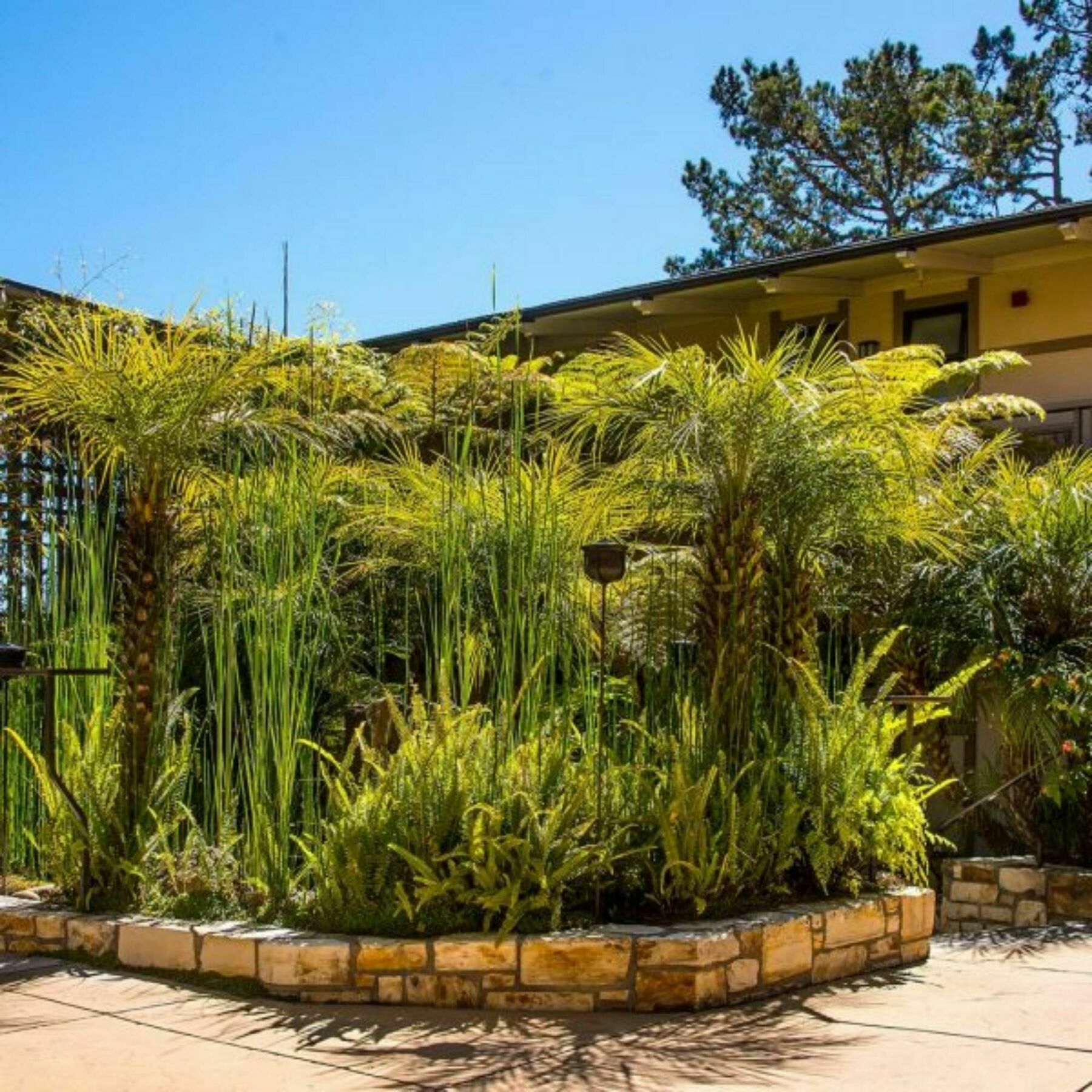 Tradewinds Carmel Hotel Exterior foto